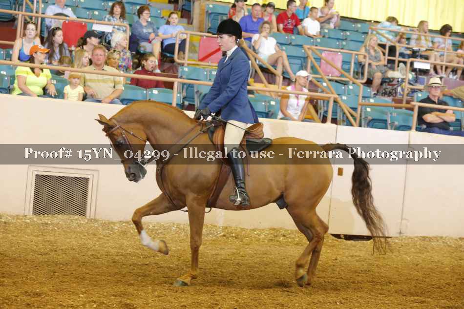 Proof 15YN_04299