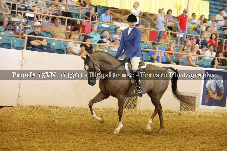 Proof 15YN_04301