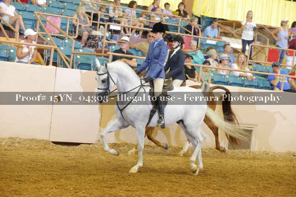 Proof 15YN_04303