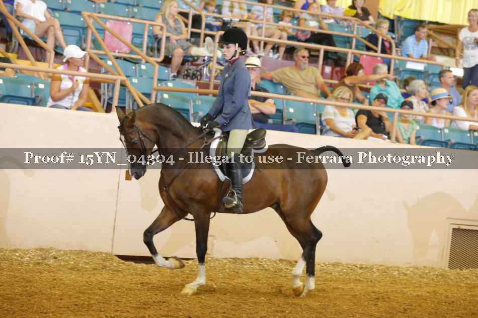 Proof 15YN_04304