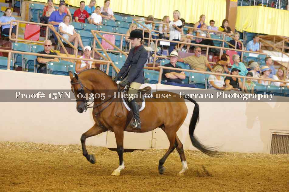 Proof 15YN_04305