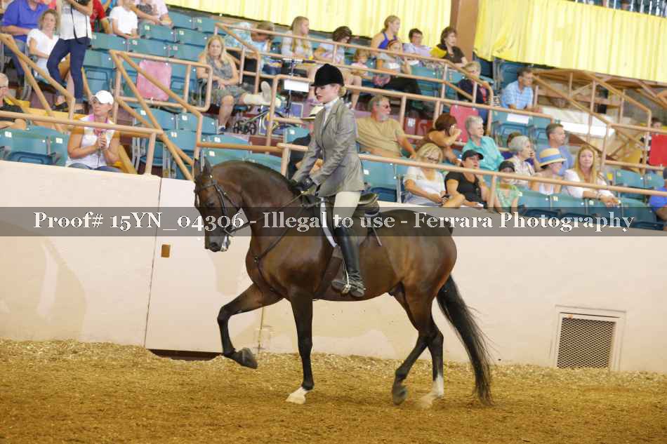 Proof 15YN_04306