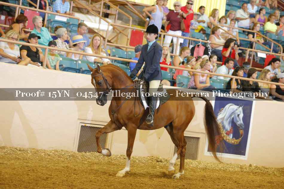 Proof 15YN_04547