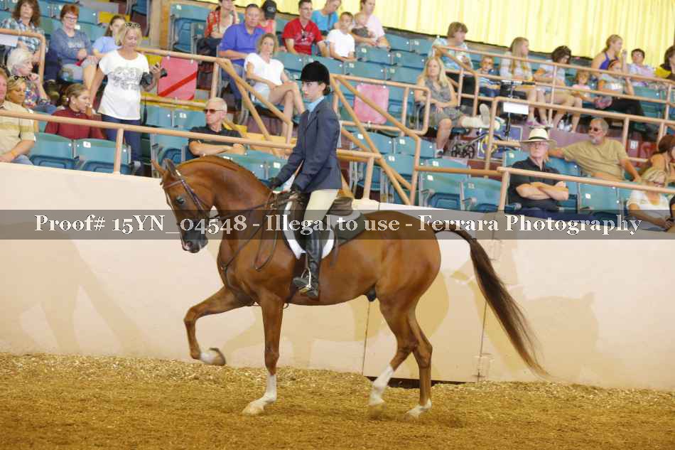 Proof 15YN_04548