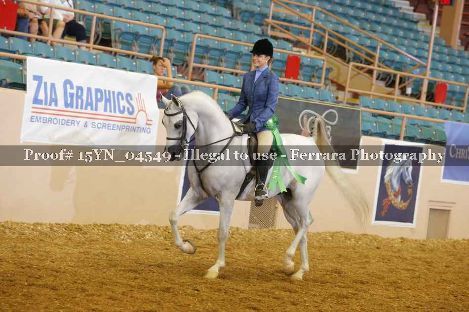 Proof 15YN_04549