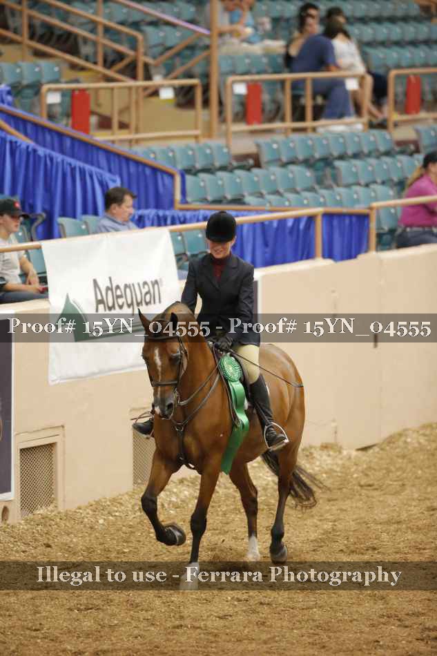 Proof 15YN_04555
