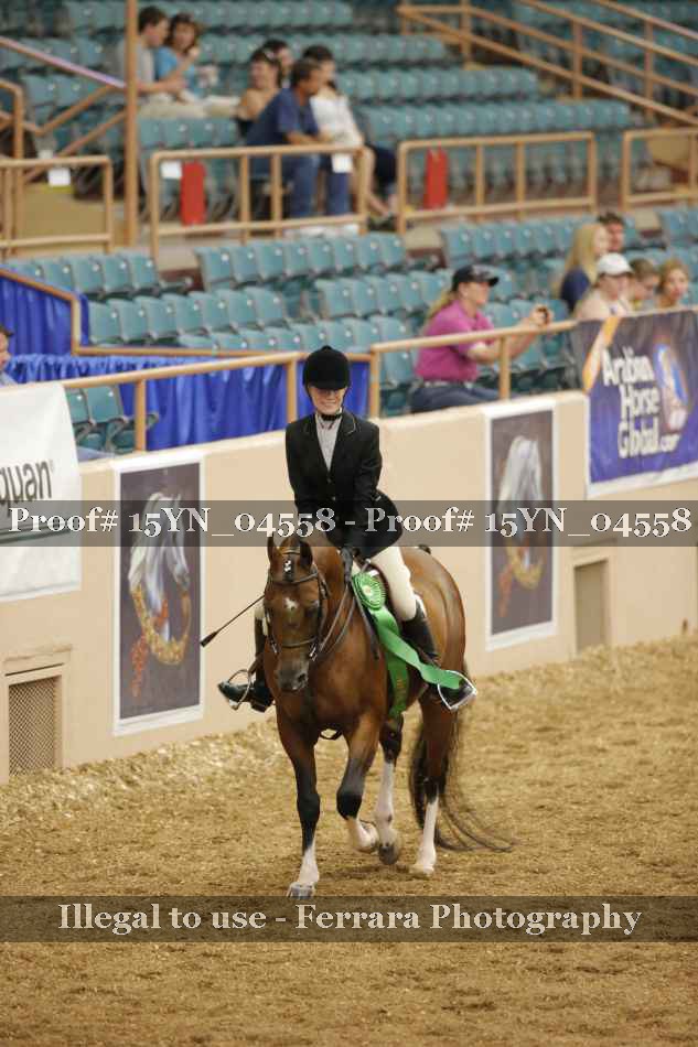Proof 15YN_04558