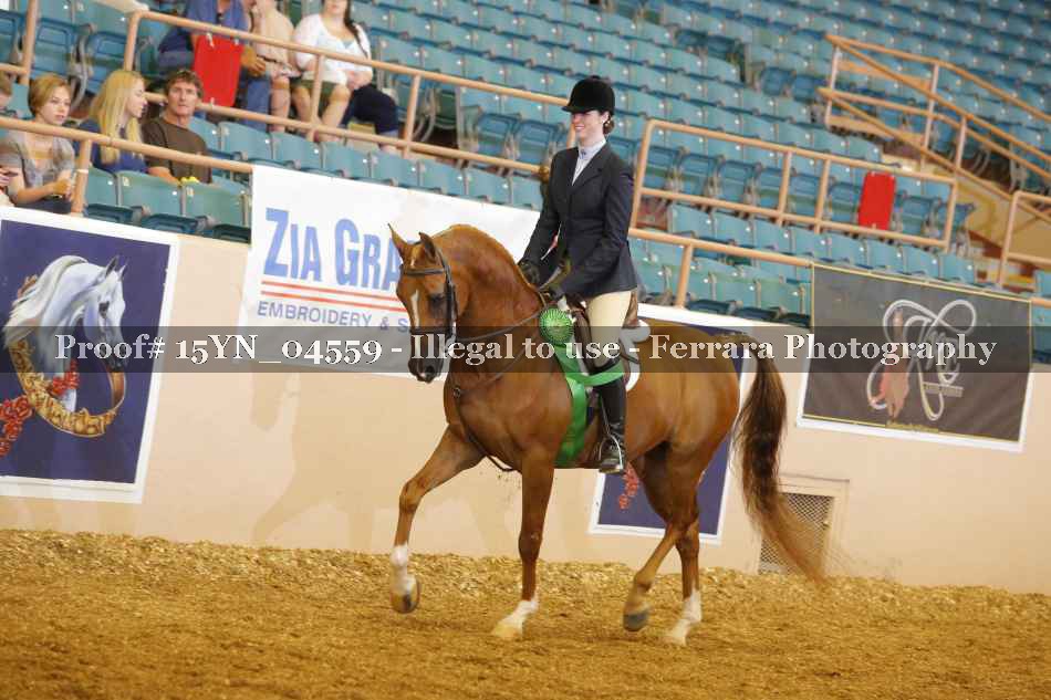 Proof 15YN_04559