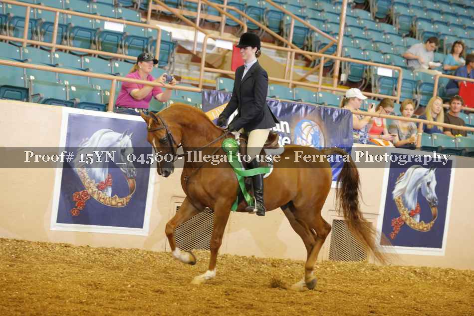 Proof 15YN_04560
