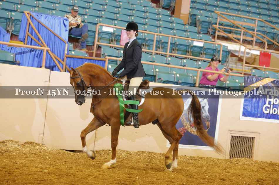 Proof 15YN_04561