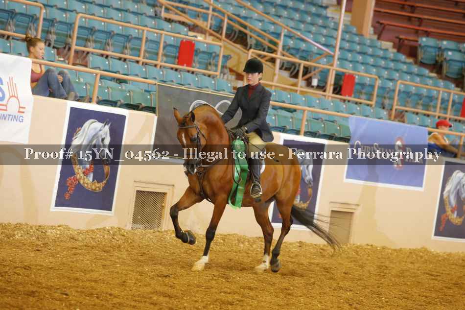 Proof 15YN_04562