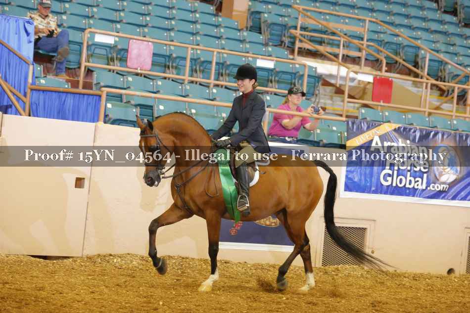 Proof 15YN_04564