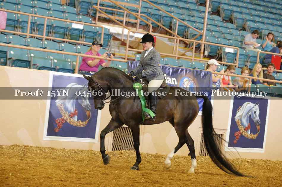 Proof 15YN_04566