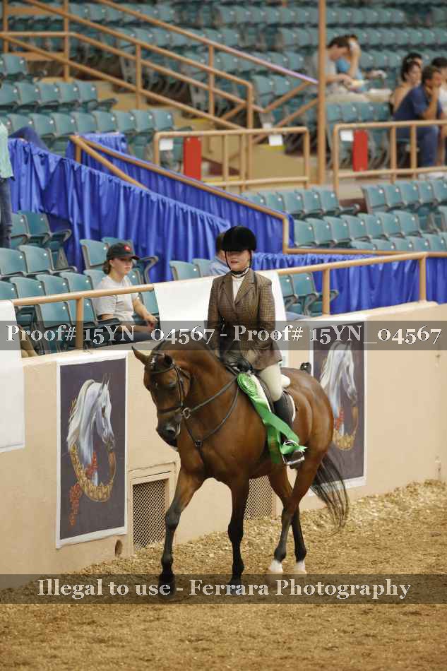 Proof 15YN_04567