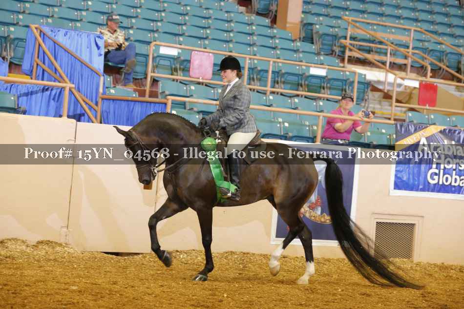 Proof 15YN_04568