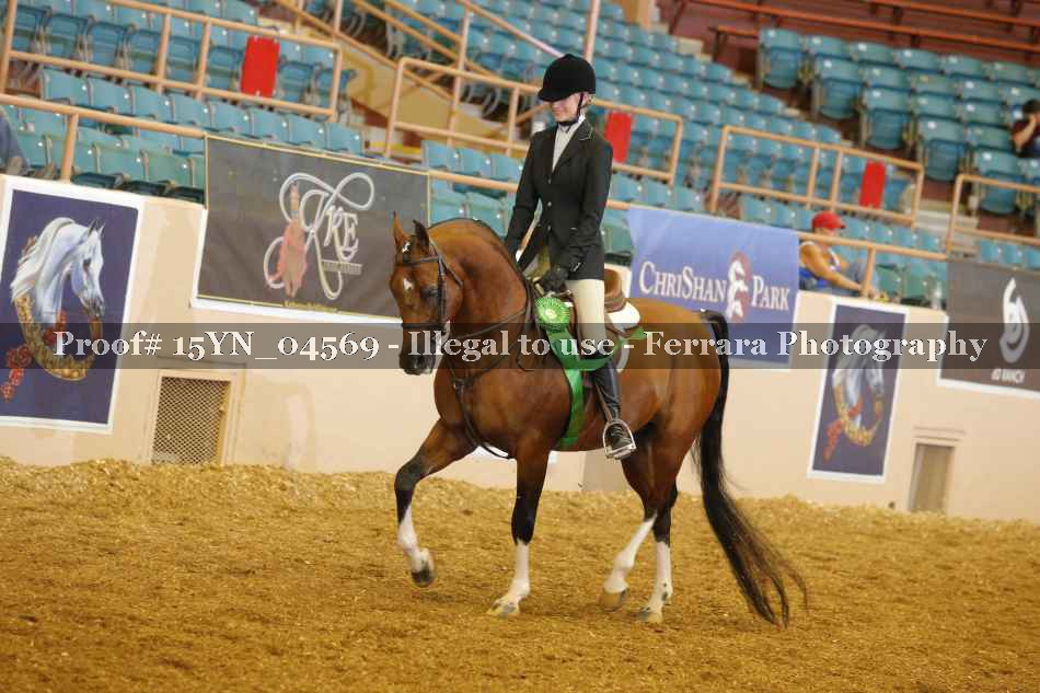 Proof 15YN_04569