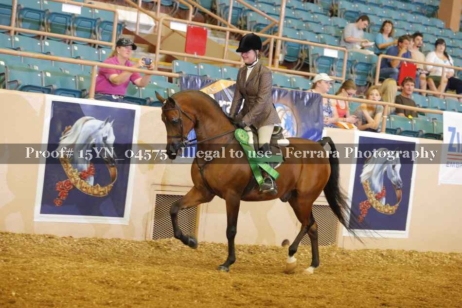 Proof 15YN_04575