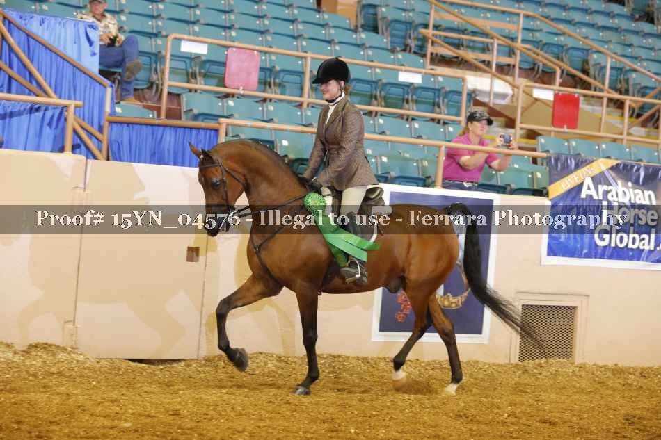 Proof 15YN_04576