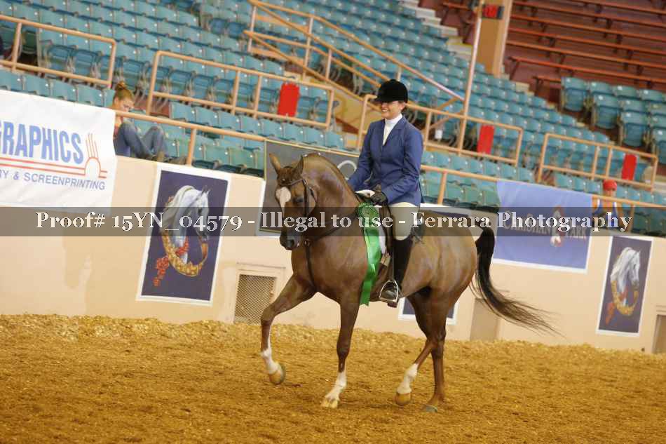 Proof 15YN_04579