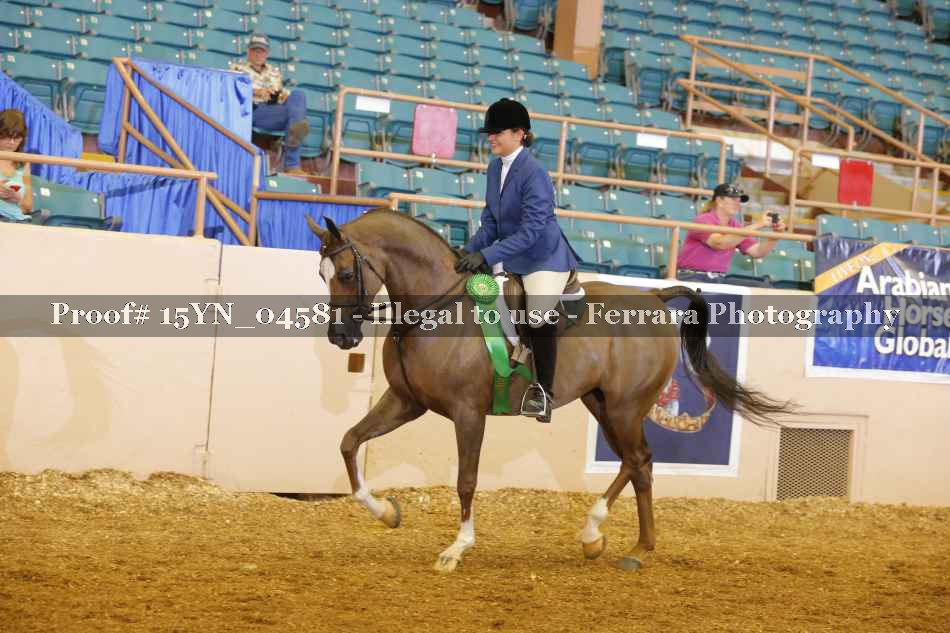 Proof 15YN_04581