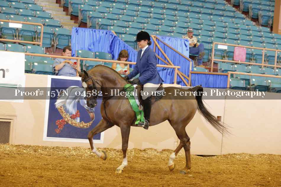 Proof 15YN_04582