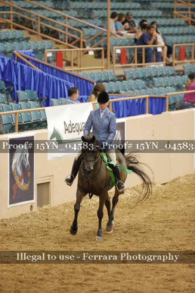 Proof 15YN_04583