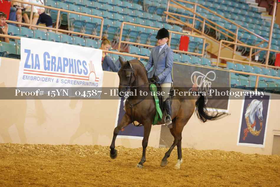 Proof 15YN_04587