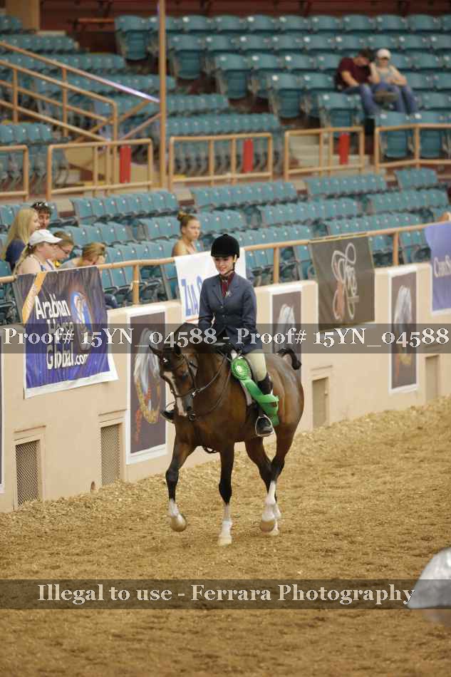 Proof 15YN_04588