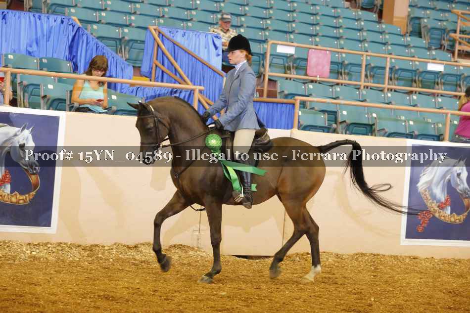 Proof 15YN_04589