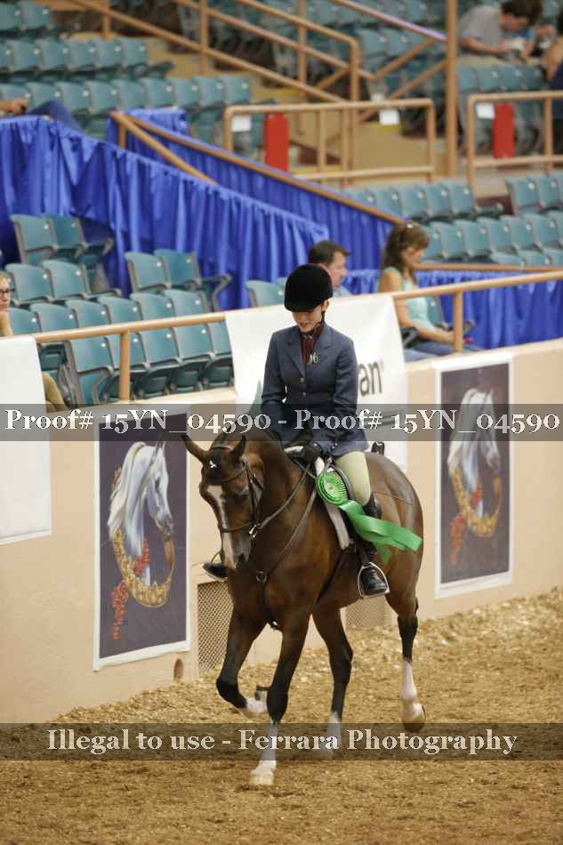 Proof 15YN_04590