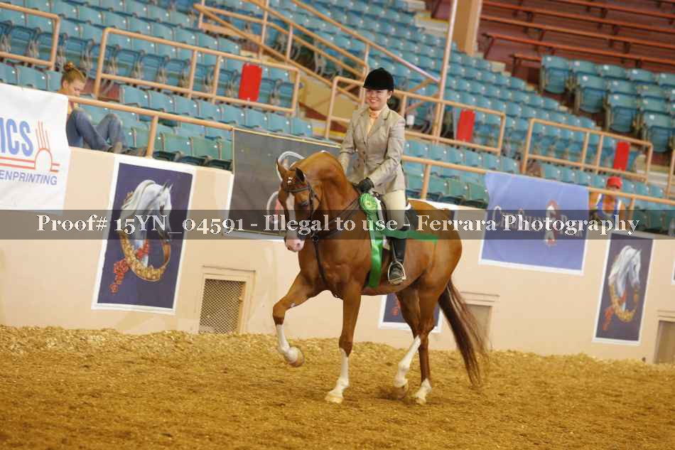 Proof 15YN_04591