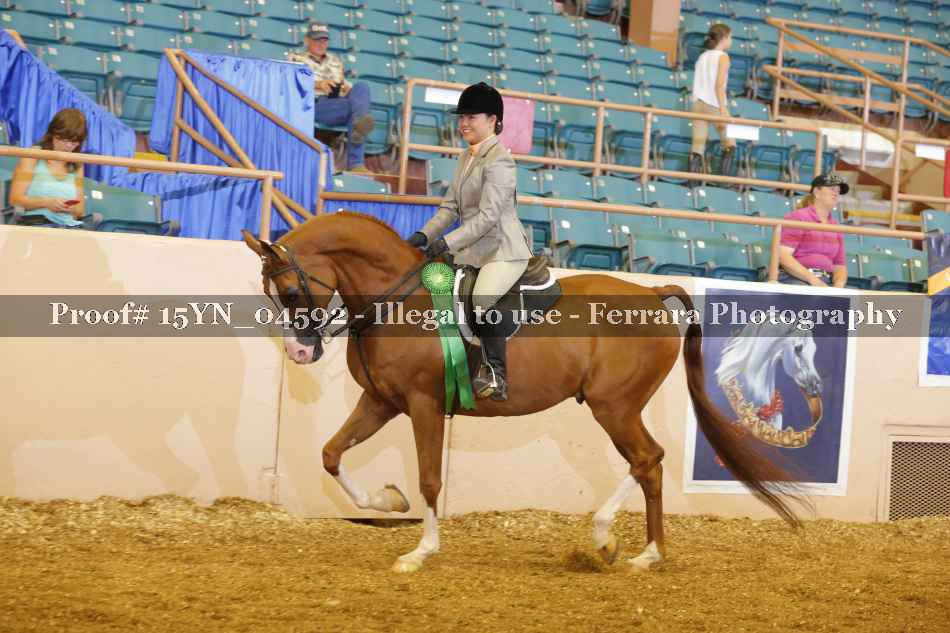Proof 15YN_04592