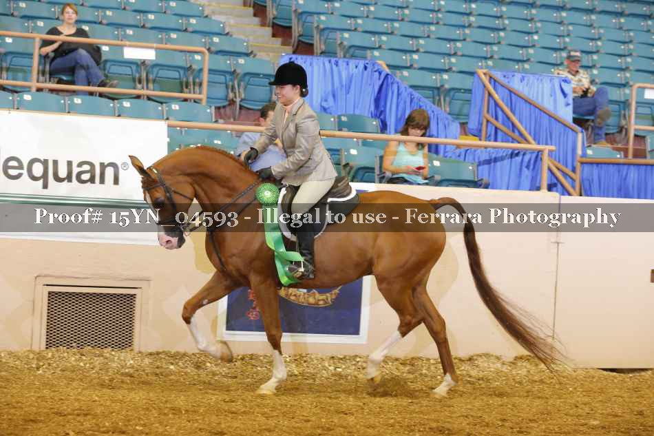 Proof 15YN_04593
