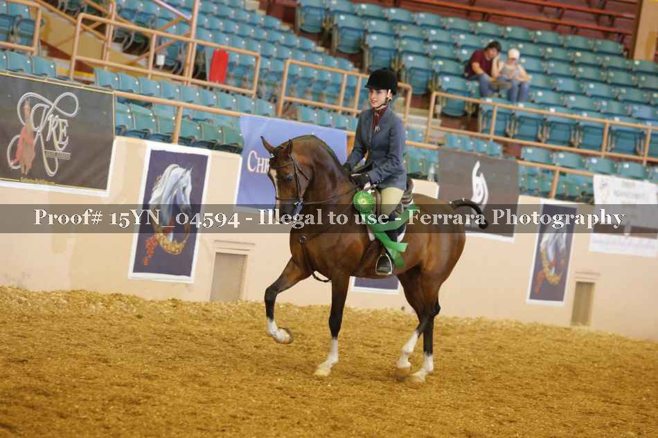 Proof 15YN_04594