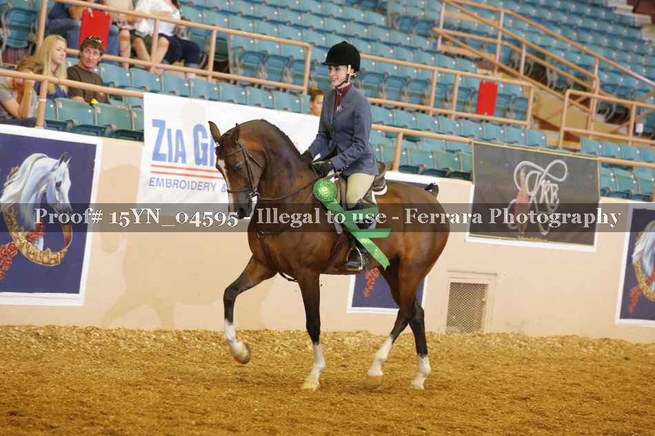 Proof 15YN_04595