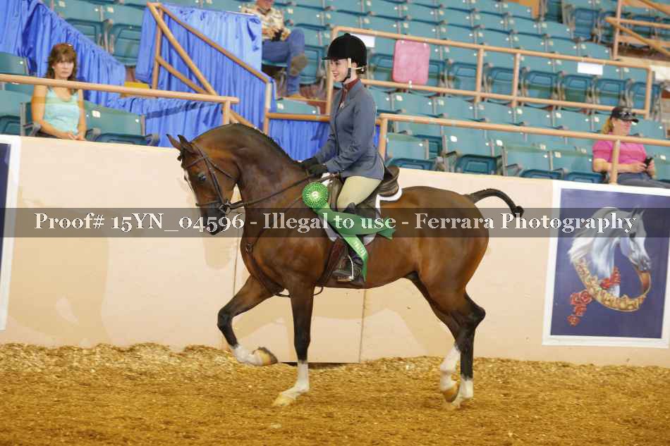 Proof 15YN_04596