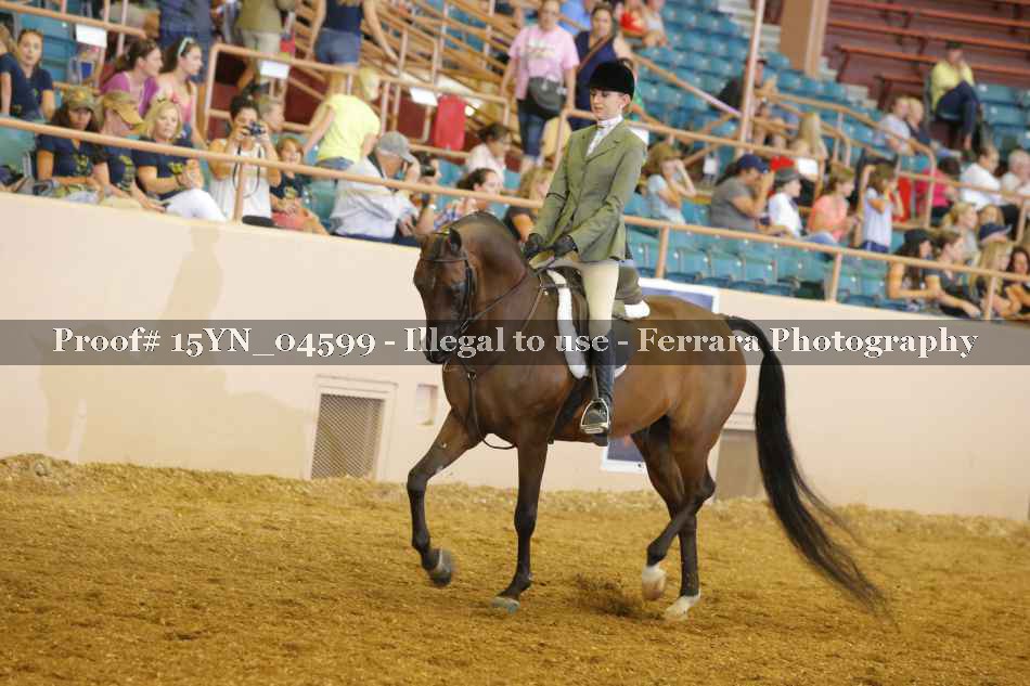 Proof 15YN_04599