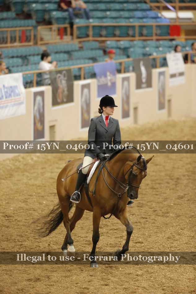 Proof 15YN_04601