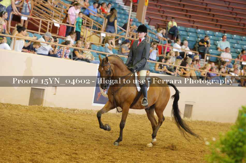 Proof 15YN_04602
