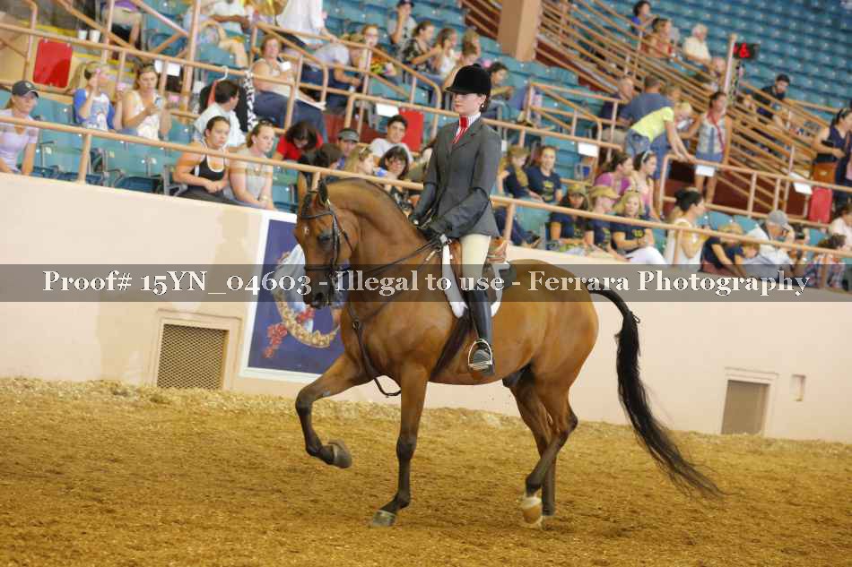 Proof 15YN_04603