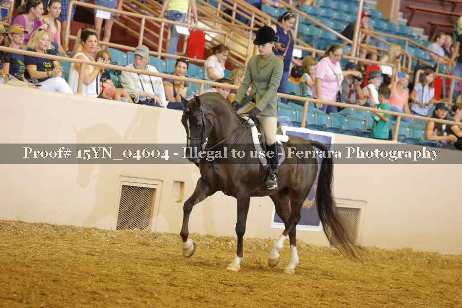Proof 15YN_04604