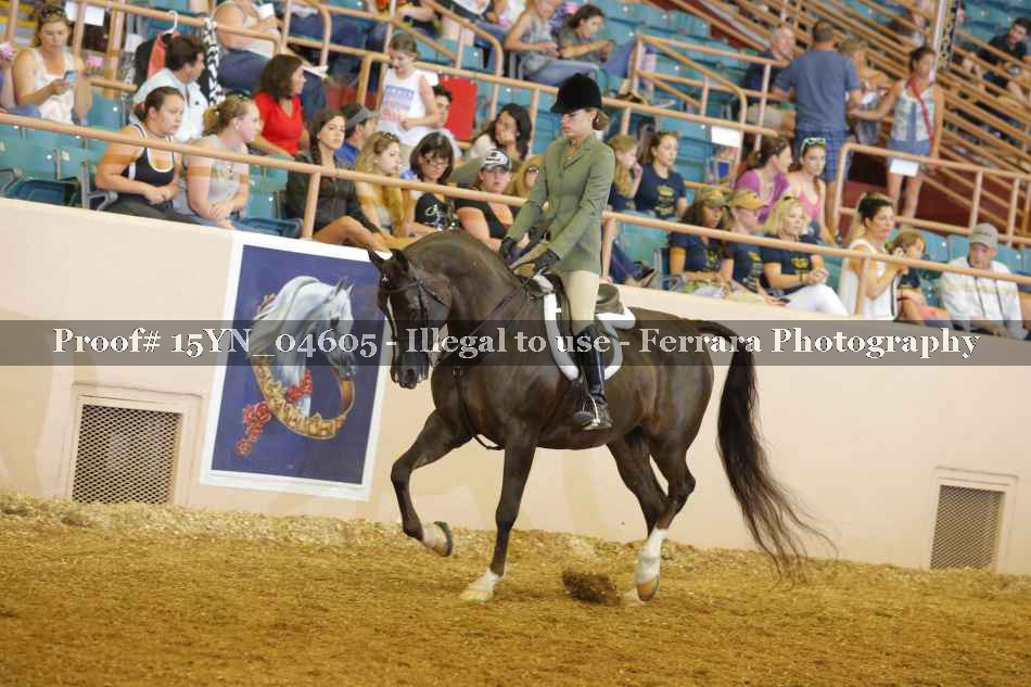Proof 15YN_04605