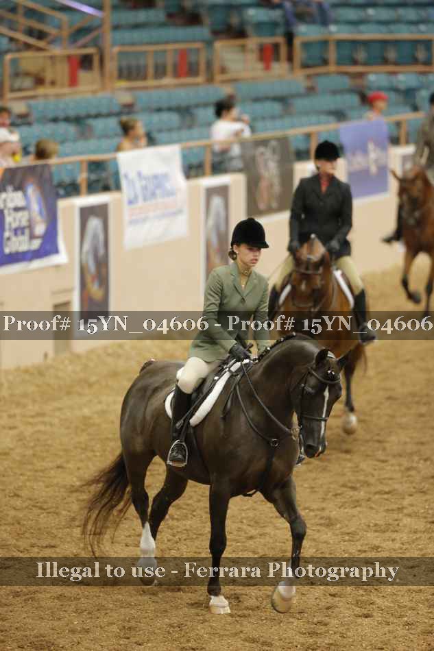 Proof 15YN_04606