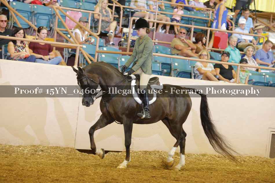 Proof 15YN_04607