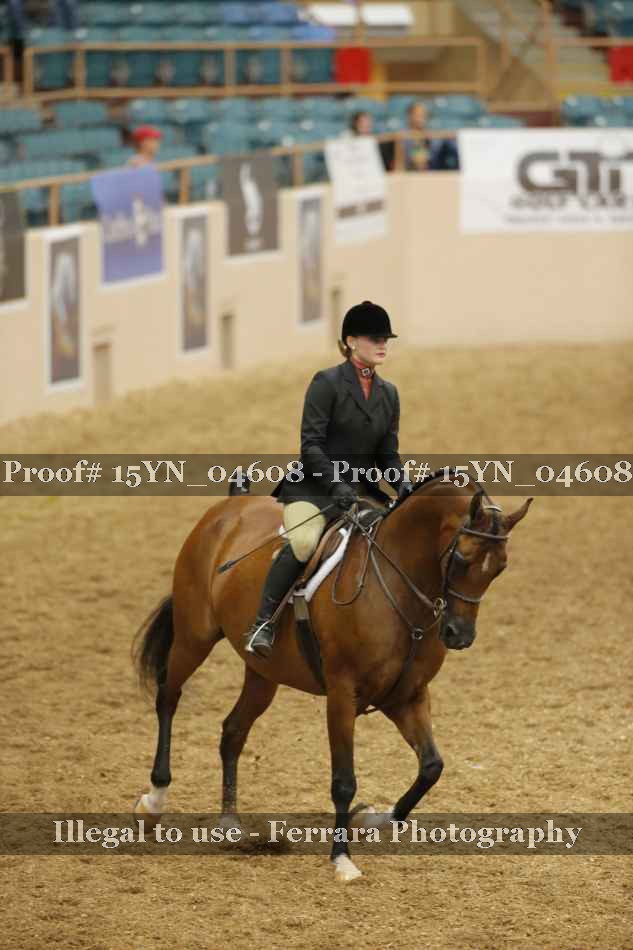 Proof 15YN_04608