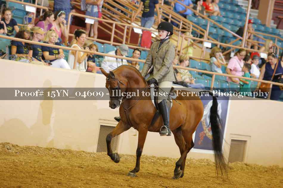 Proof 15YN_04609