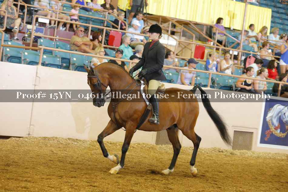 Proof 15YN_04611
