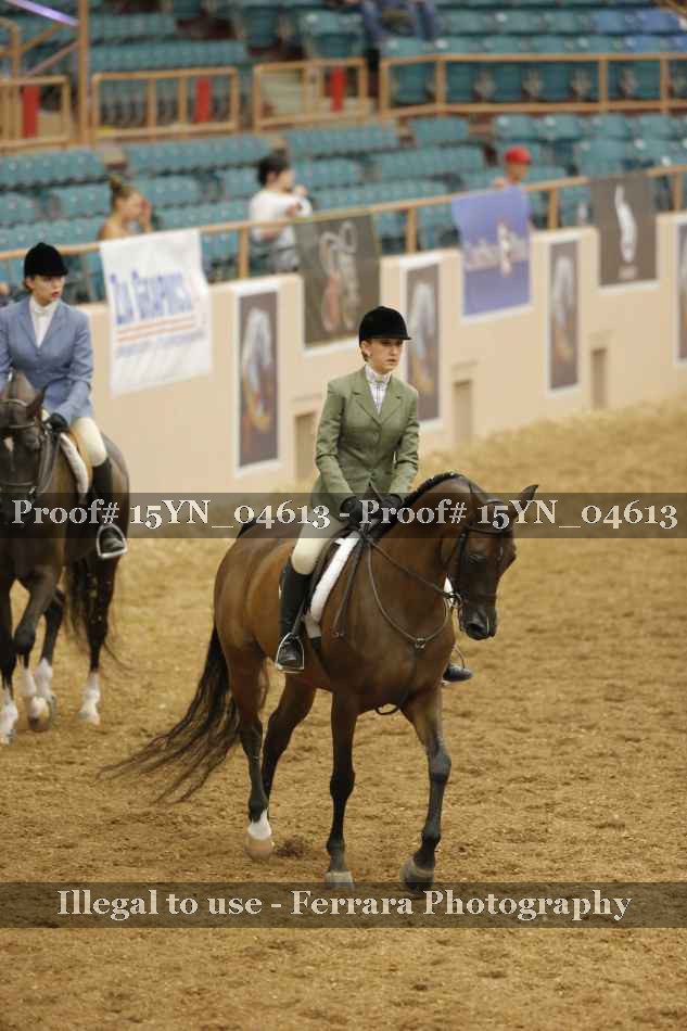 Proof 15YN_04613