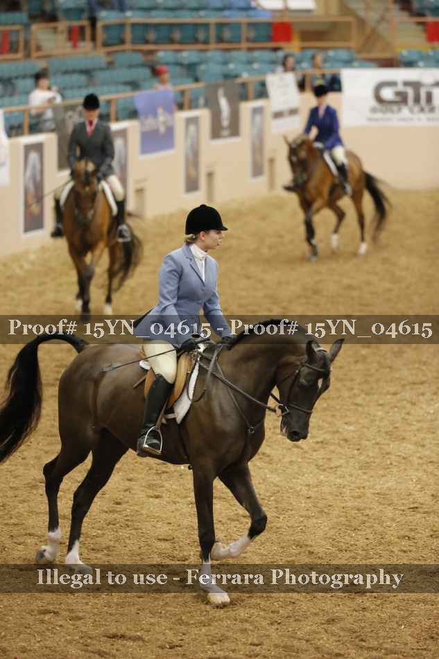 Proof 15YN_04615