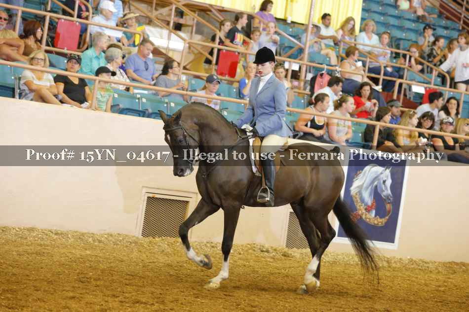 Proof 15YN_04617